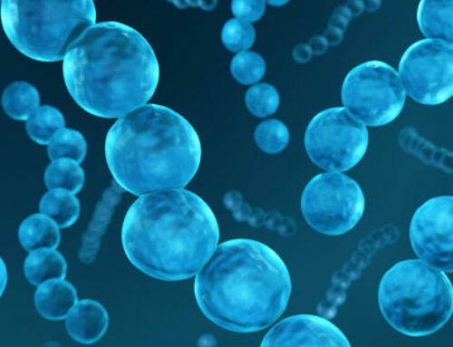 Disinfection, Sterilisation and Inactivation